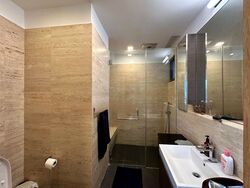 Balmoral Road (D10), Condominium #476188981